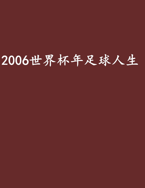 2006世界杯年足球人生