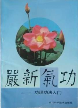 严新气功（1994年四川科学技术出版社出版的图书）