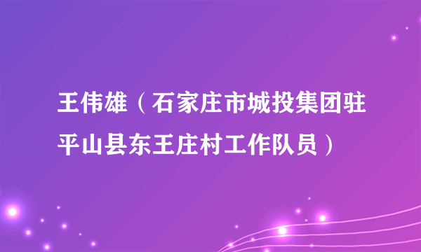 王伟雄（石家庄市城投集团驻平山县东王庄村工作队员）