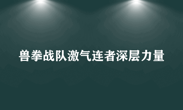 兽拳战队激气连者深层力量