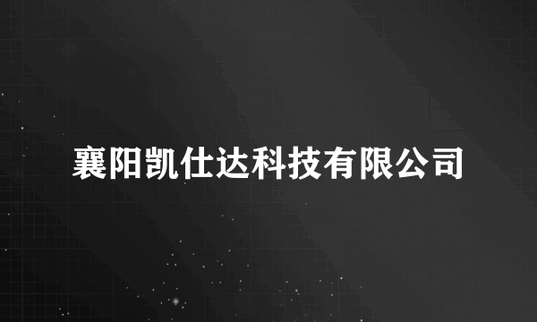 襄阳凯仕达科技有限公司