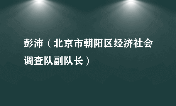 彭沛（北京市朝阳区经济社会调查队副队长）