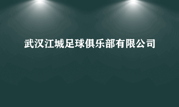 武汉江城足球俱乐部有限公司