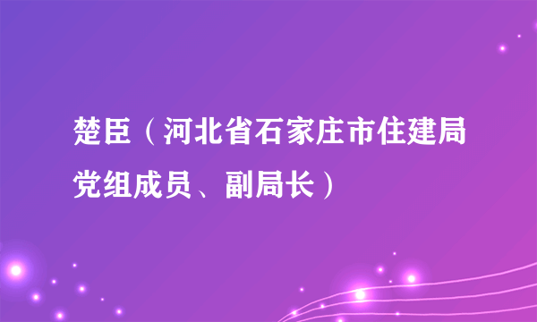 楚臣（河北省石家庄市住建局党组成员、副局长）