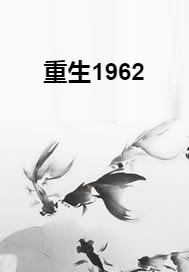 重生1962