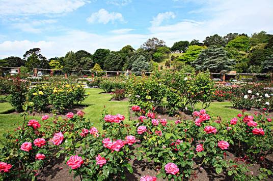 四川香草植物园