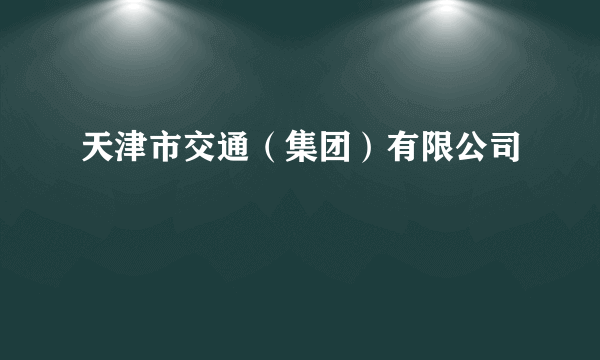 天津市交通（集团）有限公司