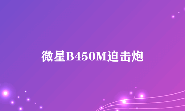 微星B450M迫击炮