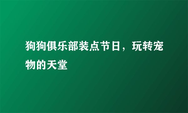 狗狗俱乐部装点节日，玩转宠物的天堂