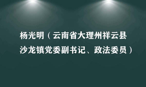 杨光明（云南省大理州祥云县沙龙镇党委副书记、政法委员）