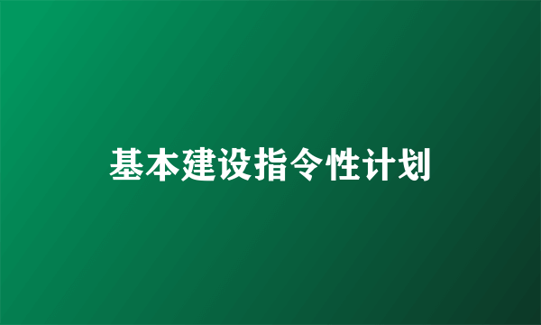 基本建设指令性计划