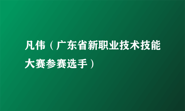 凡伟（广东省新职业技术技能大赛参赛选手）