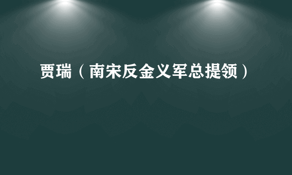 贾瑞（南宋反金义军总提领）