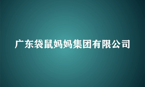 广东袋鼠妈妈集团有限公司