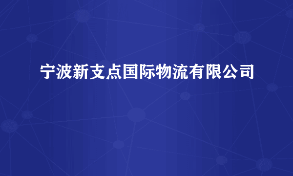 宁波新支点国际物流有限公司