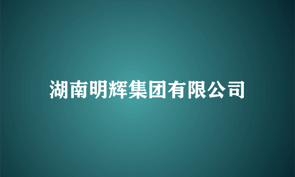 湖南明辉集团有限公司