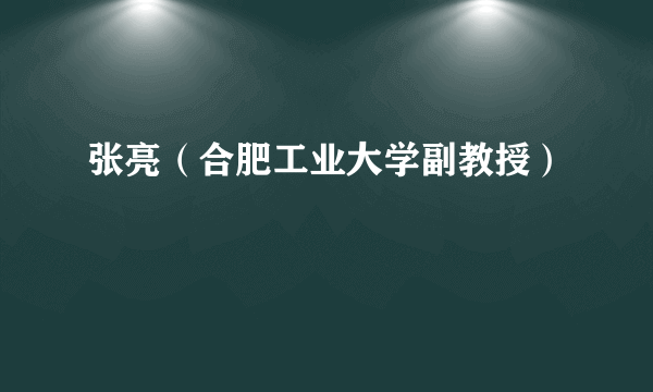 张亮（合肥工业大学副教授）