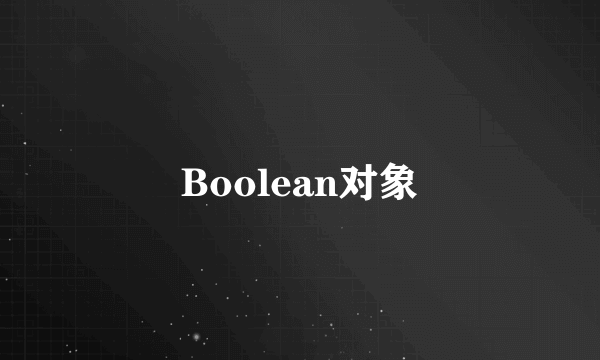 Boolean对象