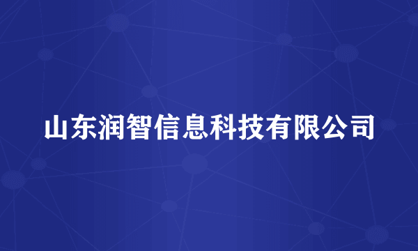 山东润智信息科技有限公司