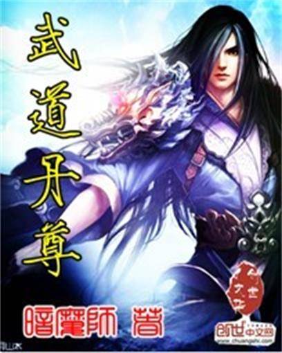 武道丹尊（暗魔师创作小说）