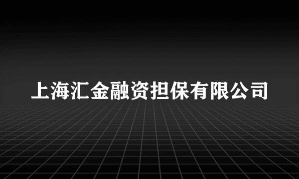 上海汇金融资担保有限公司