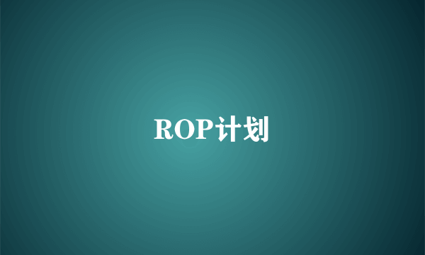 ROP计划