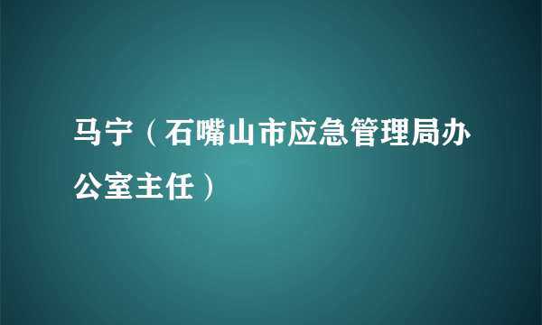 马宁（石嘴山市应急管理局办公室主任）