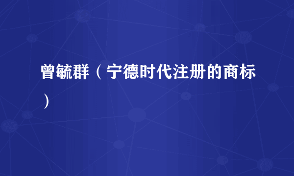 曾毓群（宁德时代注册的商标）