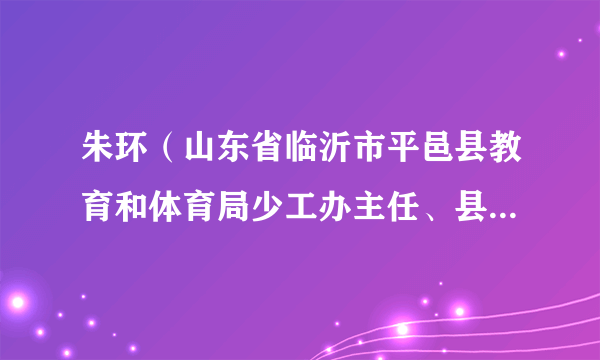 朱环（山东省临沂市平邑县教育和体育局少工办主任、县总辅导员）