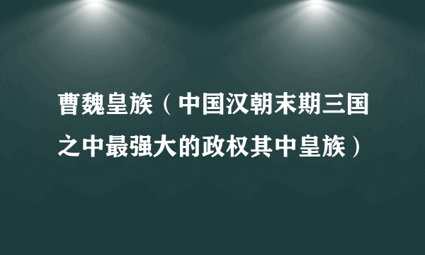 曹魏皇族（中国汉朝末期三国之中最强大的政权其中皇族）