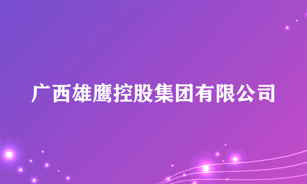 广西雄鹰控股集团有限公司