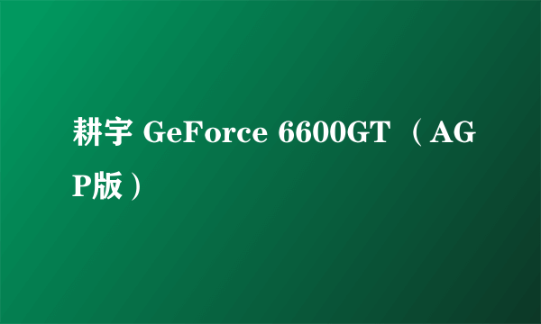 耕宇 GeForce 6600GT （AGP版）