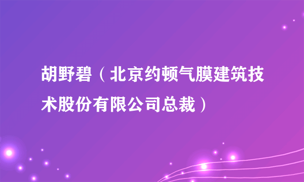 胡野碧（北京约顿气膜建筑技术股份有限公司总裁）