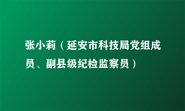 张小莉（延安市科技局党组成员、副县级纪检监察员）