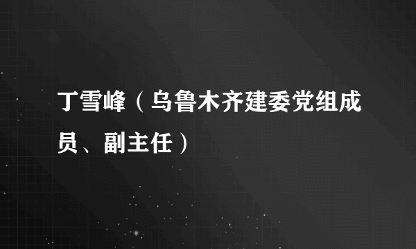 丁雪峰（乌鲁木齐建委党组成员、副主任）