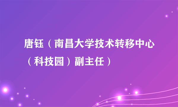 唐钰（南昌大学技术转移中心（科技园）副主任）