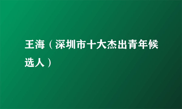 王海（深圳市十大杰出青年候选人）