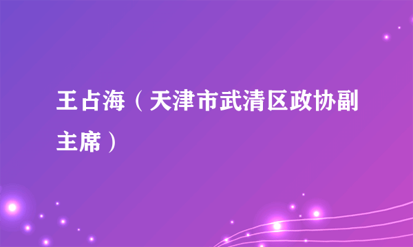 王占海（天津市武清区政协副主席）