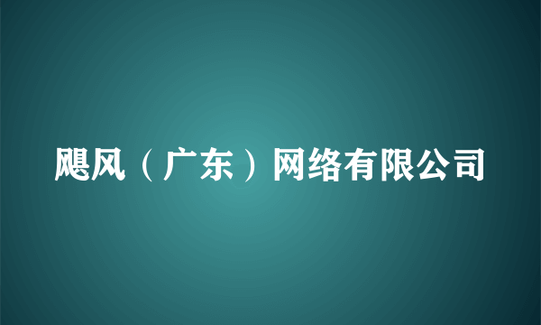 飓风（广东）网络有限公司