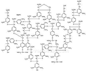 木质素（一类复杂的有机聚合物）