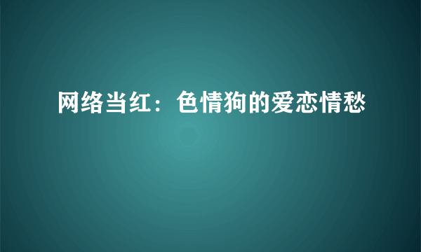 网络当红：色情狗的爱恋情愁