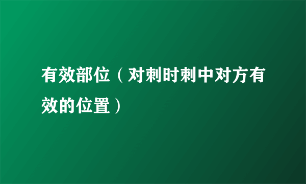 有效部位（对刺时刺中对方有效的位置）