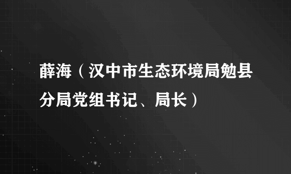 薛海（汉中市生态环境局勉县分局党组书记、局长）