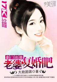 豪门追妻：老婆，复婚吧