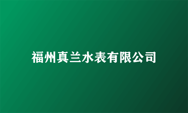 福州真兰水表有限公司