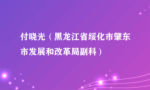 付晓光（黑龙江省绥化市肇东市发展和改革局副科）