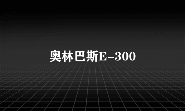 奥林巴斯E-300