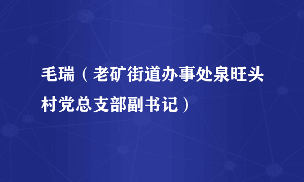 毛瑞（老矿街道办事处泉旺头村党总支部副书记）