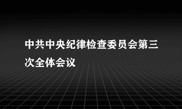 中共中央纪律检查委员会第三次全体会议