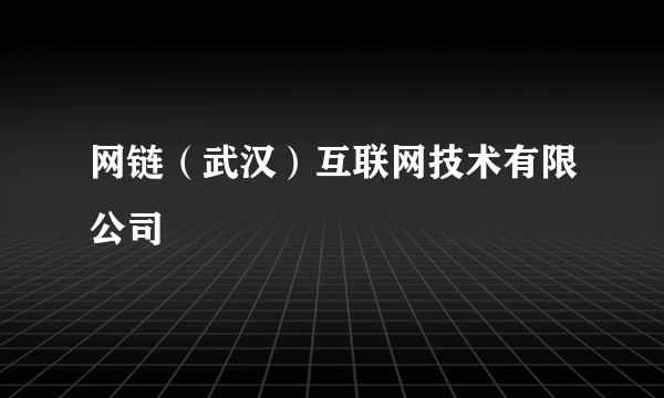 网链（武汉）互联网技术有限公司